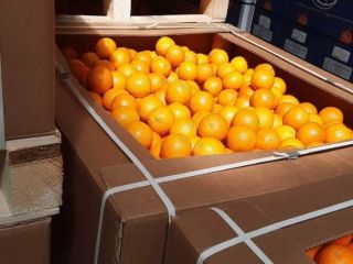 High quality Egyptian orange. Directly from the manufacturer. Minimum
