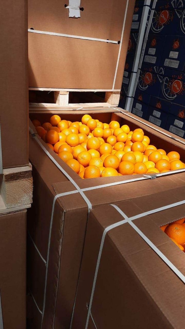 High quality Egyptian orange