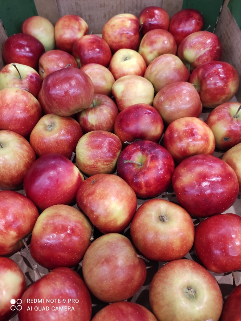 I have apples for sale