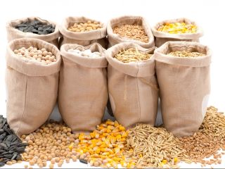 The trading company offers for sales soybean / corn