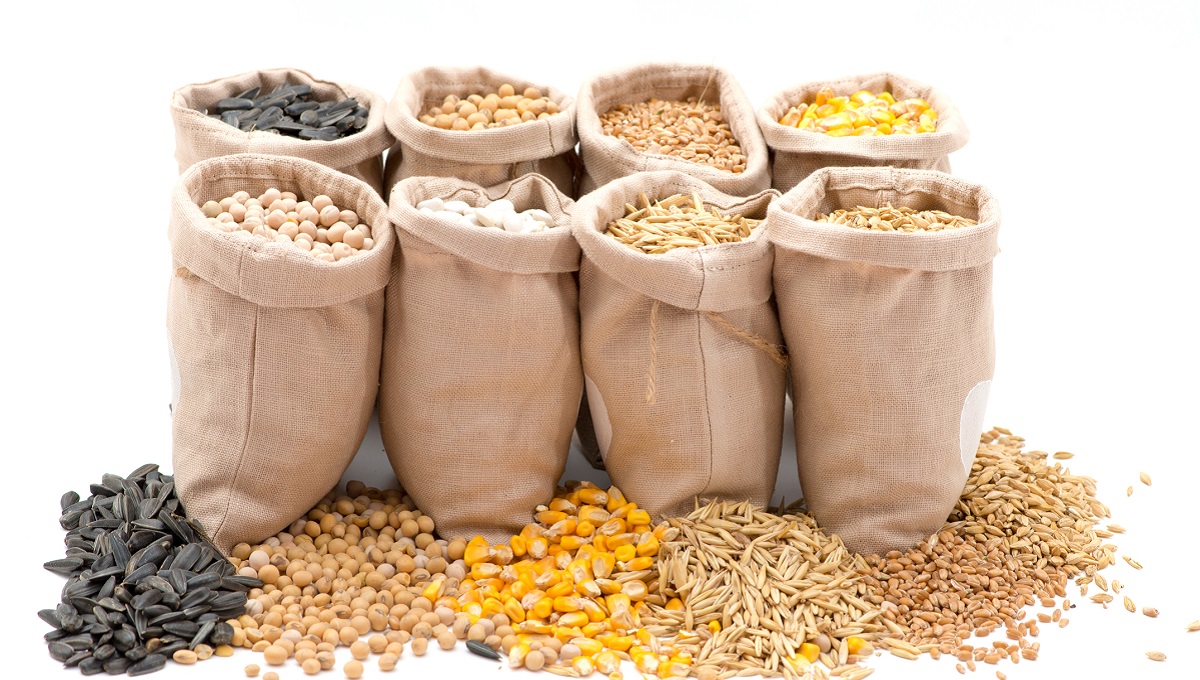 The trading company offers for sales soybean / corn / sunflower, origin Ukraine, harvest 2022, quality certificates