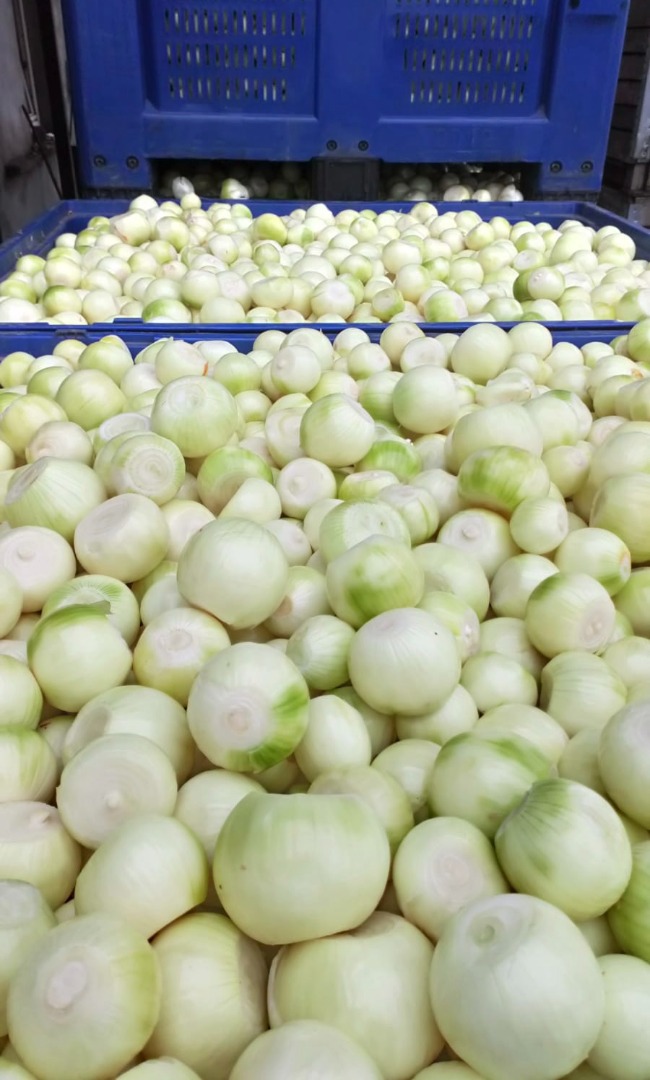Hello, I will sell peeled onions, cal