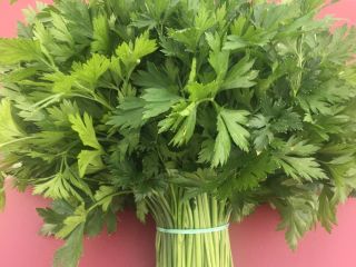 The enterprise grows dill, parsley, cilantro, spinach, arugula, mint