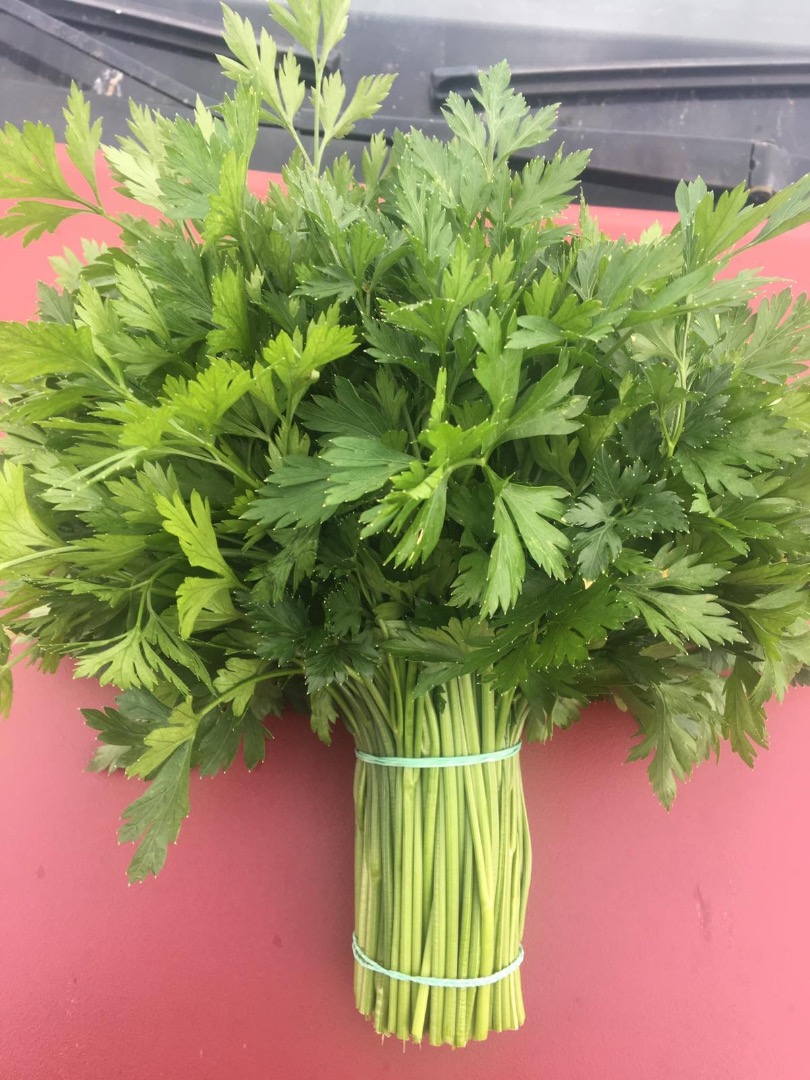 The enterprise grows dill, parsley, cilantro, spinach, arugula, mint in large volumes