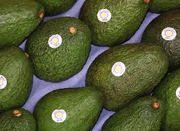 Packing of avocados is done in 4 kg gross boxes (cartons) with each box holding between 9 and 26 pieces of fruit depending on the size