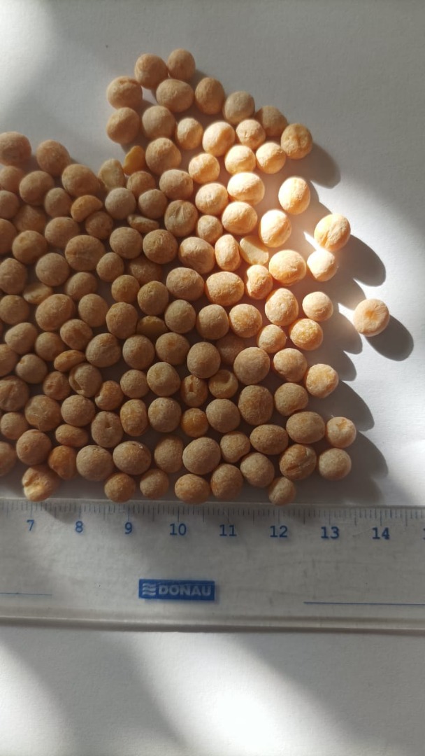 Yellow round peas and halves Certificate and laboratory analysis Price with delivery to the recipient