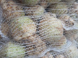 I will sell carrots parsley celery cabbage beetroot.