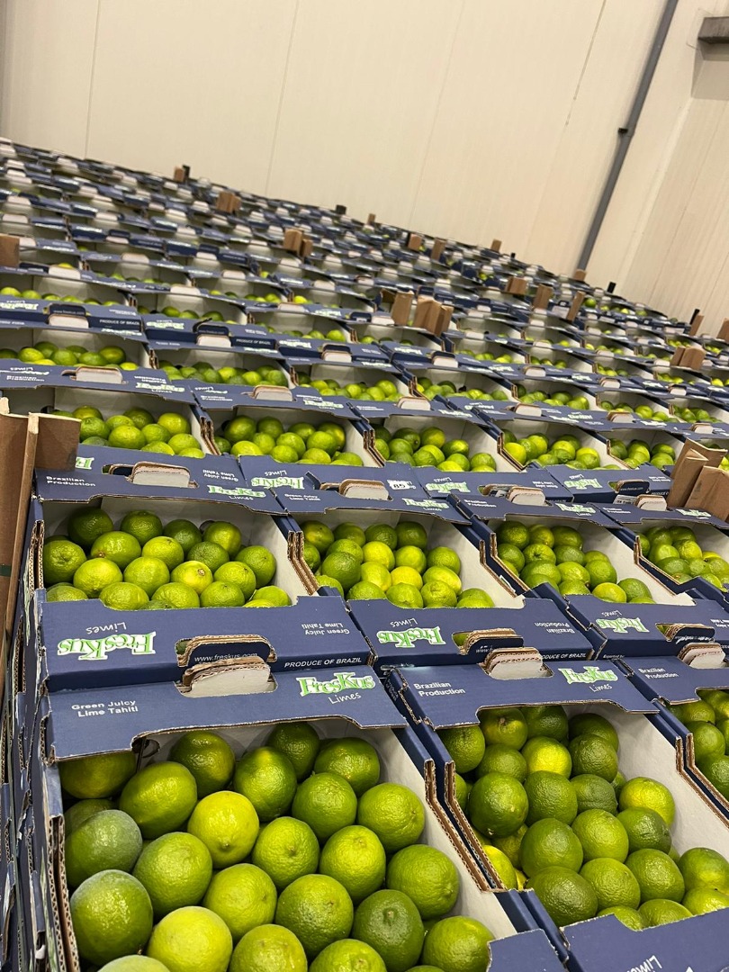 Limes Tahiti EXW price Rotterdam: 8.5 EUR/4.5 KG Brand: FRESKUS Country of origin: BRAZIL Packing: 4.5 kg/box Packing quantity: 240 boxes/1 pallet