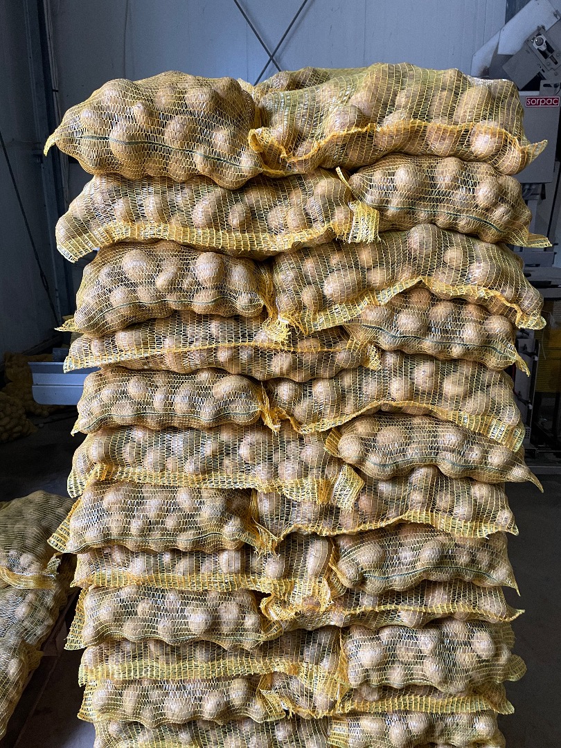 I will sell edible potatoes Gala soraya queen anne Big bag bulk sewn bag