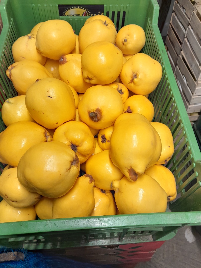 I will sell fresh quince fruit