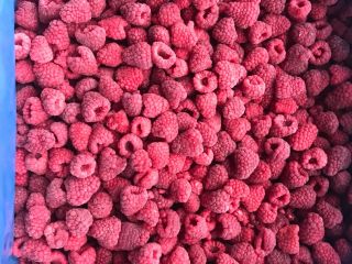 Raspberry 90/10 Raspberry semolina