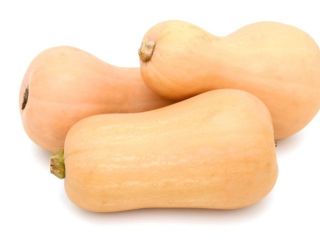 Matilda pumpkins, availability about 5 tons. They are located