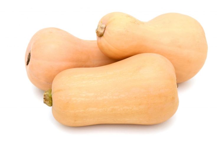 Matilda pumpkins, availability about 5 tons