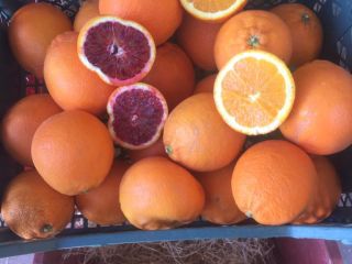 For sale red pulp oranges