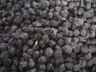 I have dried, cleaned aronia for sale. From own