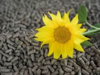 HIGH FIBER SUNFLOWER MEAL-50% - for ruminants The use