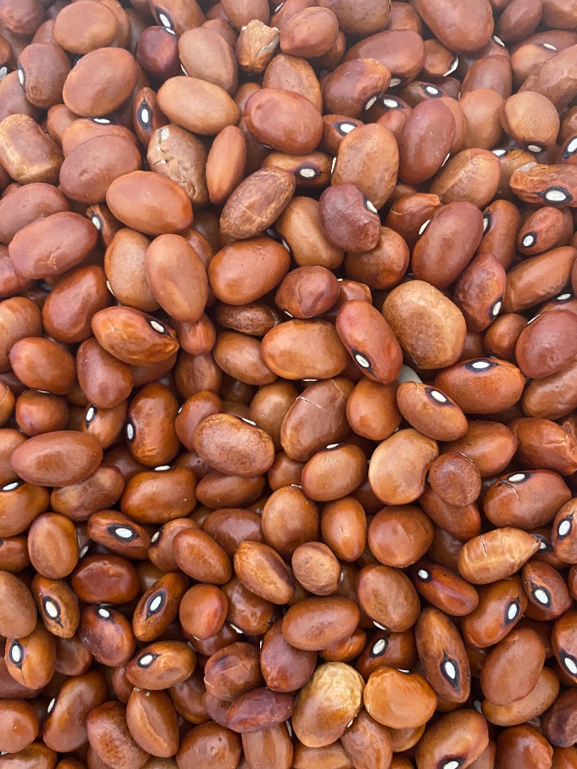 Sell brown beans Packed in bags of 25 kg