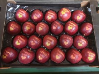 I will sell from the cold store KA+Smart Fresh,