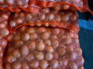 A pile of onions caliber 40+ for the purpose