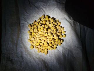 300 kg of dried chestnuts are sold.