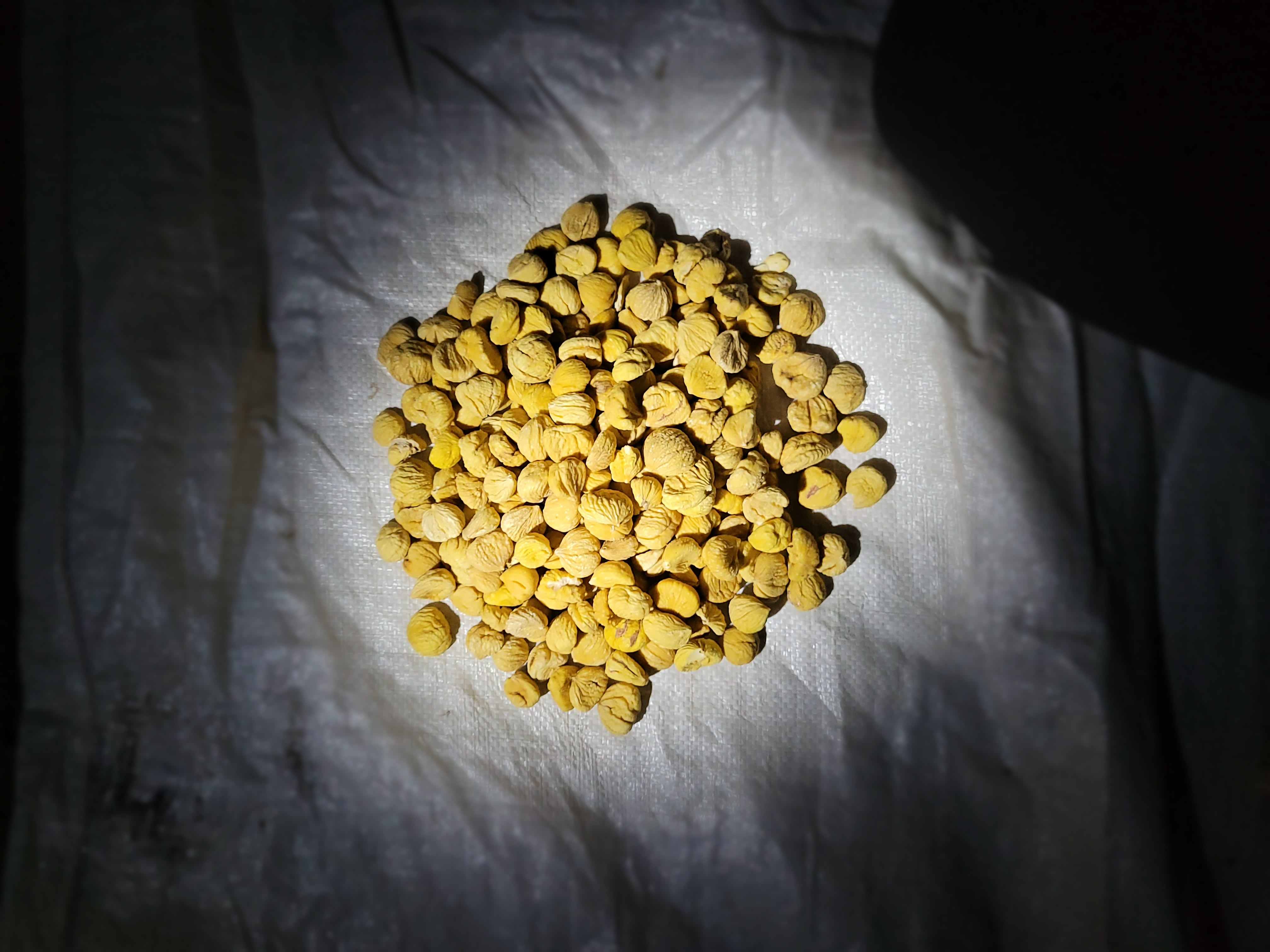 300 kg of dried chestnuts are sold