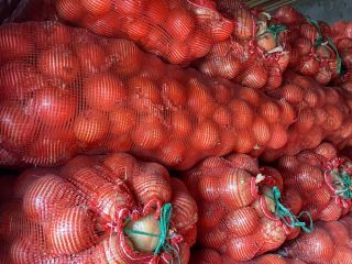 Bulb onion wholesale from the manufacturer. Packing in nets