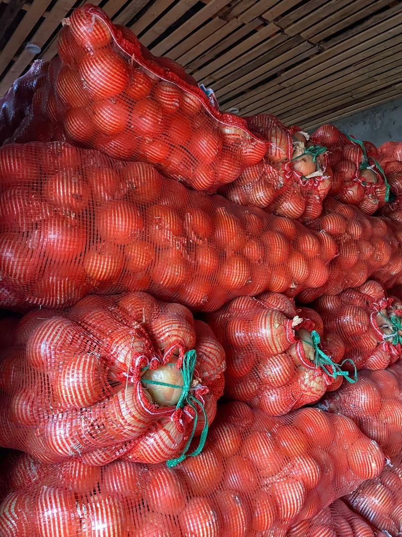 Bulb onion wholesale from the manufacturer