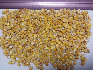 I will sell corn