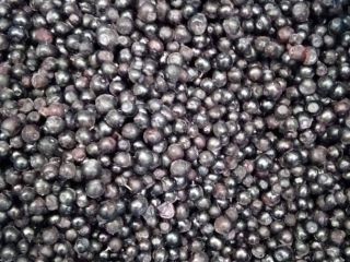 I have to sell forest berries of Ukraine origin: