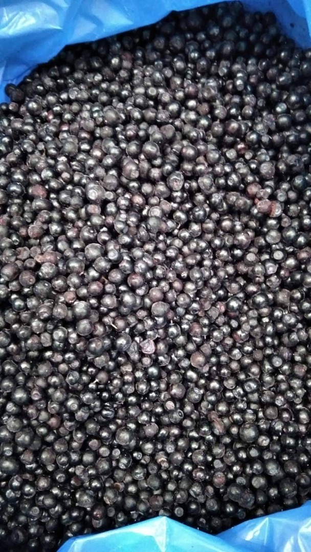 I have to sell forest berries of Ukraine origin: 20 t peeled at a price of 3.05 E/kg