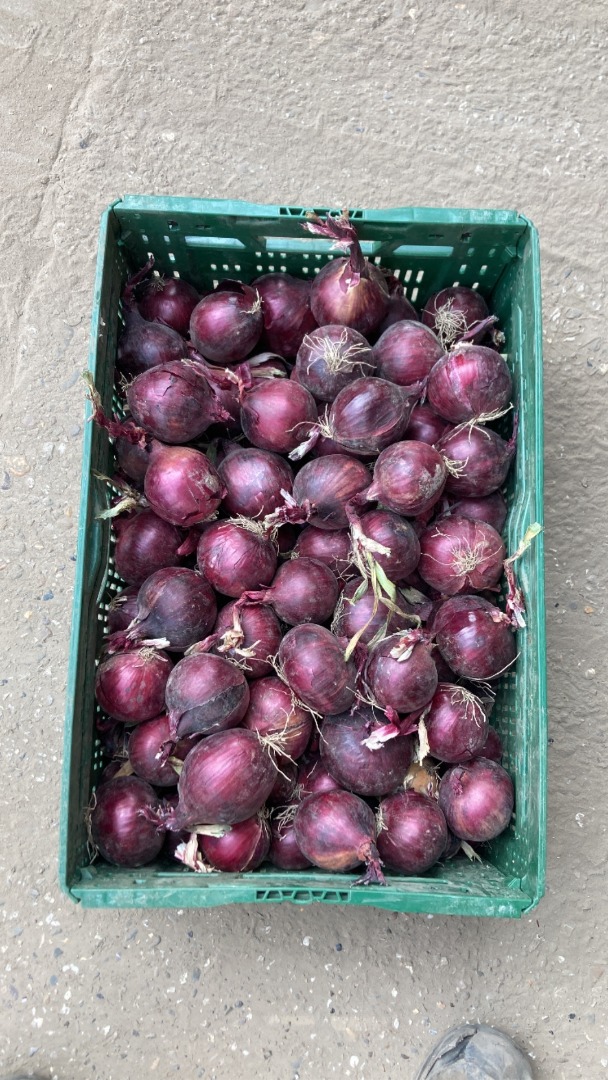 I have about 300 tons of red onion, caliber 4+ Big-bag or bulk packaging