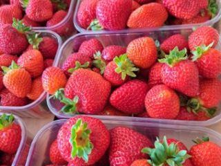 Dessert strawberry available from the end of May to