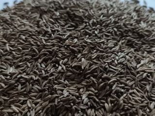 Good quality caraway seeds. Full truck loadings. Packaging big