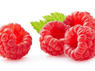 Hello, we are a producer of dessert raspberries from