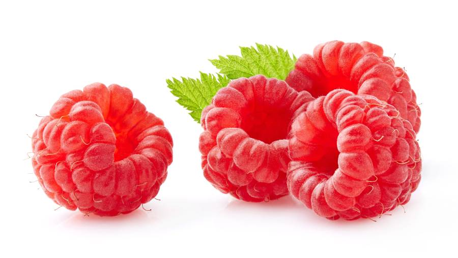 Hello, we are a producer of dessert raspberries from the Kwanza and Enrosadira varieties, market quality, packed in any packaging