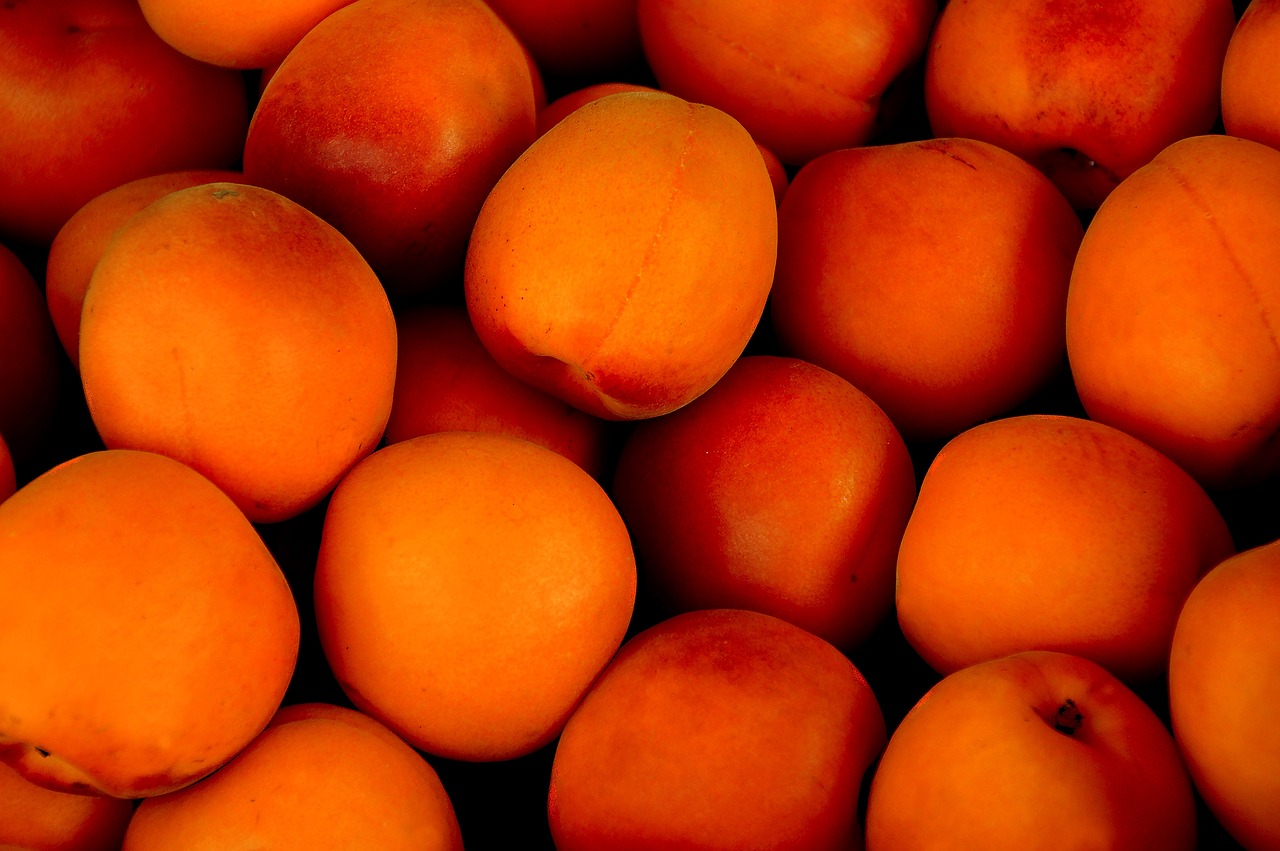 One of Greece's top producers of apricots, cherries, peaches, kiwi, nectarines