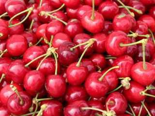 One of Greece's top producers of cherries, peaches, kiwi,