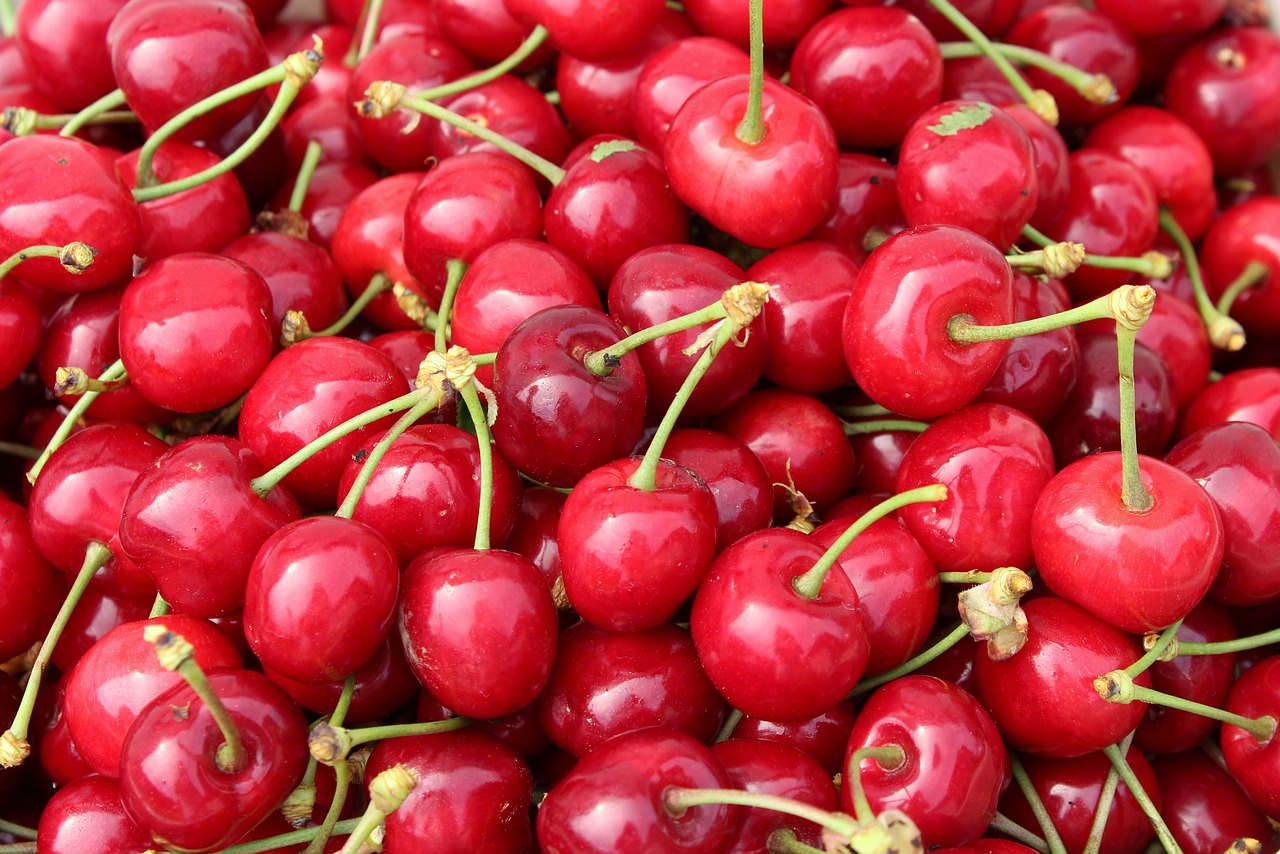 One of Greece's top producers of cherries, peaches, kiwi, nectarines, apricots
