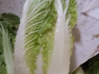 I will sell Beijing cabbage, please contact me for