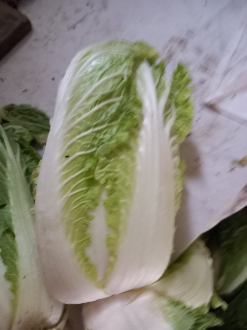 I will sell Beijing cabbage, please contact me for more information