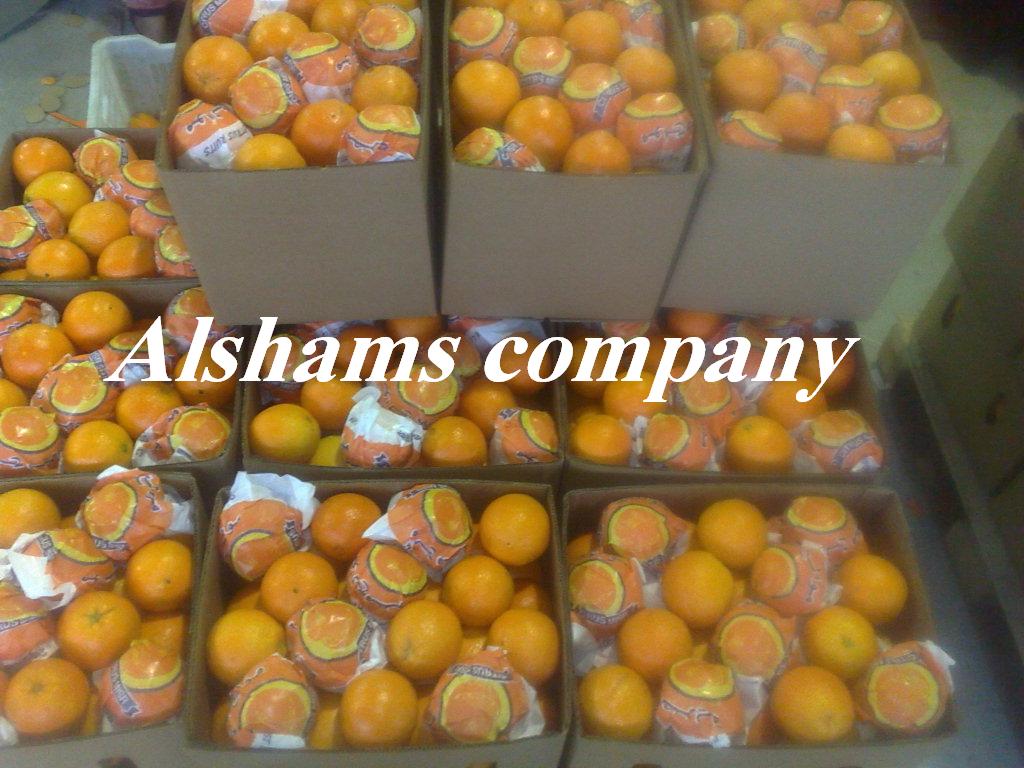 We offer fresh orange with the following specifications : Navel orange : ( November to March ) Sizes : 44/ 48/ 56/ 64/ 72/ 80/ 88/ 100/ 105/ 113/ 125