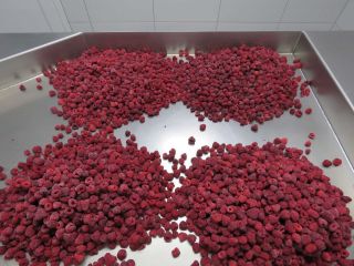I will sell frozen raspberries 95/5. Packaging (2.5 kg