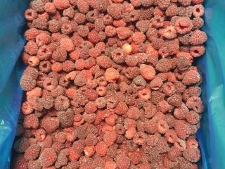 We offer frozen raspberries, packed in 12 kg net
