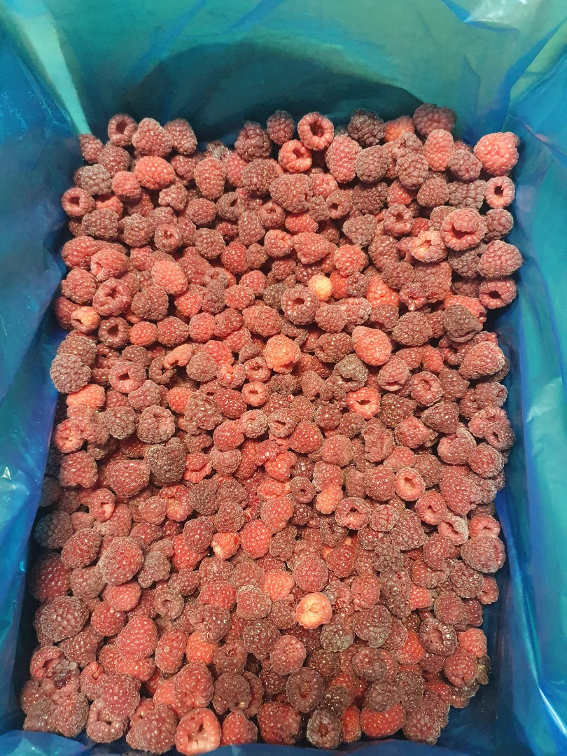 We offer frozen raspberries, packed in 12 kg net carton, on request we can also make 2.5 kg gastro bags