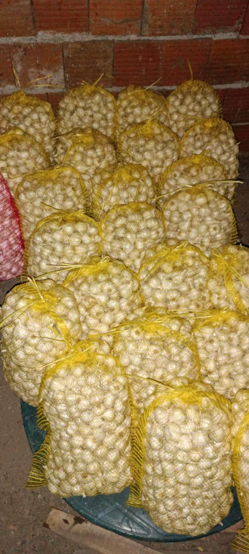 Spring homemade garlic