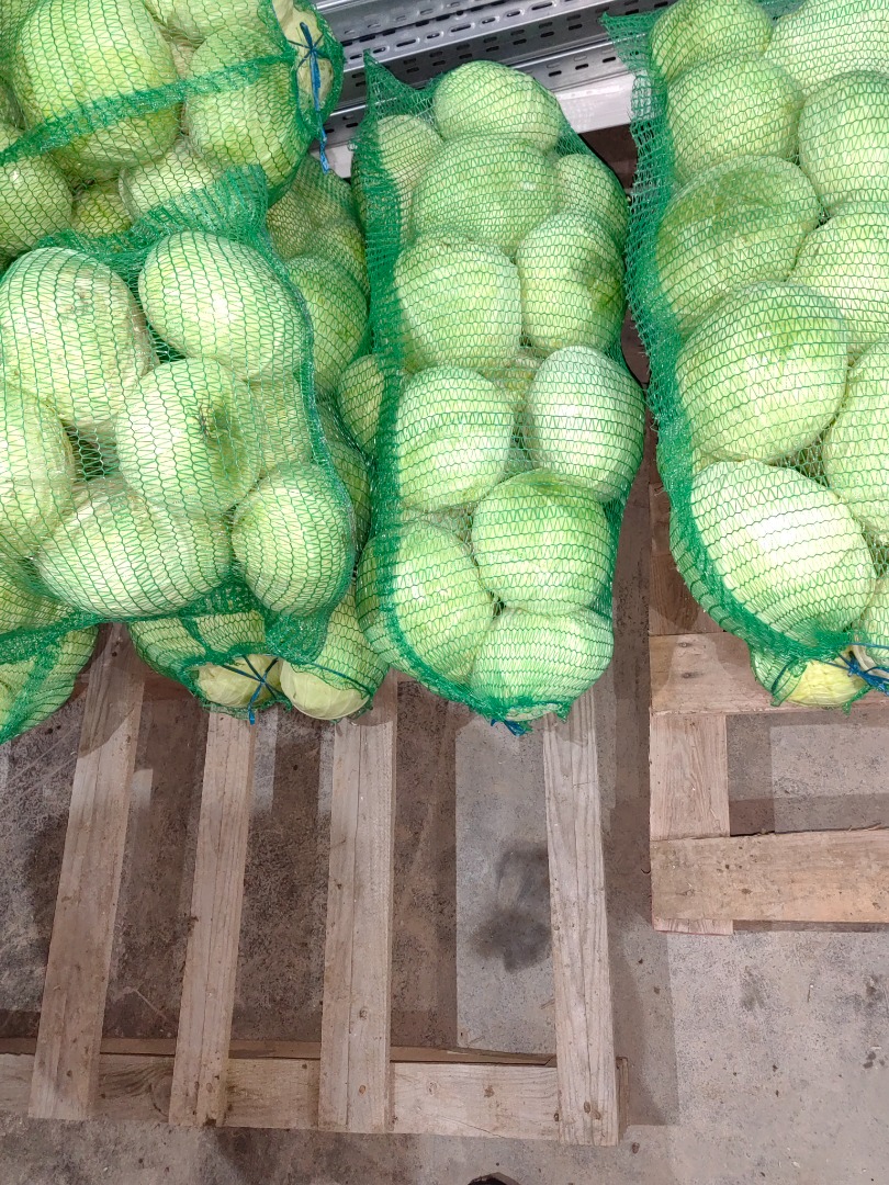 I will sell cabbage Gintama F1 For processing, frispiac 150-150 to