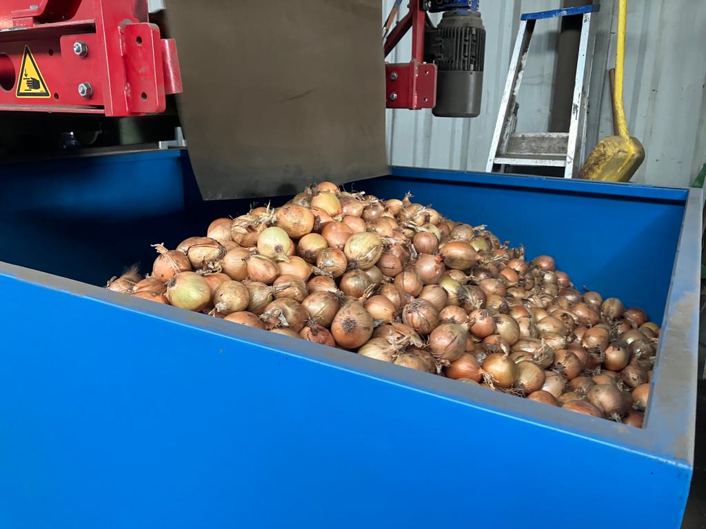 Hello, I have yellow onions for sale in the Netherlands