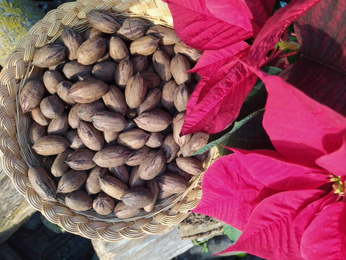 Pecans are a food that lends itself to combating hypercholesterolemia and oxidative stress