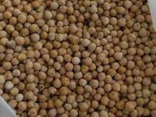 SPECIFICATIONS: Product Type: Chickpeas Foreign material: 0.2% max. Seed