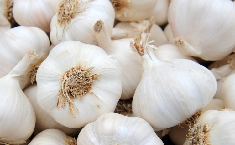 I would like to buy white garlic, maybe Spanish garlic